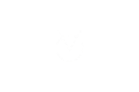 v0